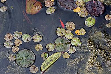 虚幻5重制《刺客信条》粉丝概念预告 感受刺客魅力